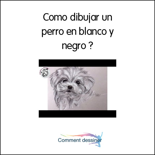 Como dibujar un perro en blanco y negro